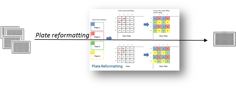 Plate Reformatting example Plate Reformatting example