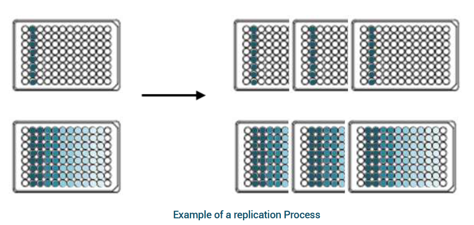 Plate Replication example