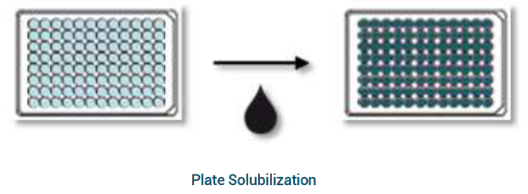 Plate Solubilization example